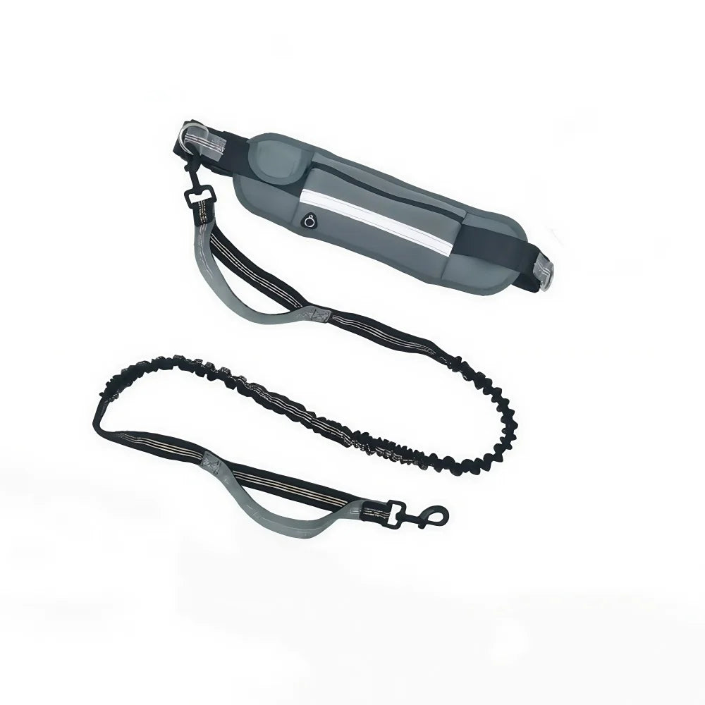 Hands‑Free Bungee Dog Leash — Reflective, Comfortable & Built for Active Lifestyles