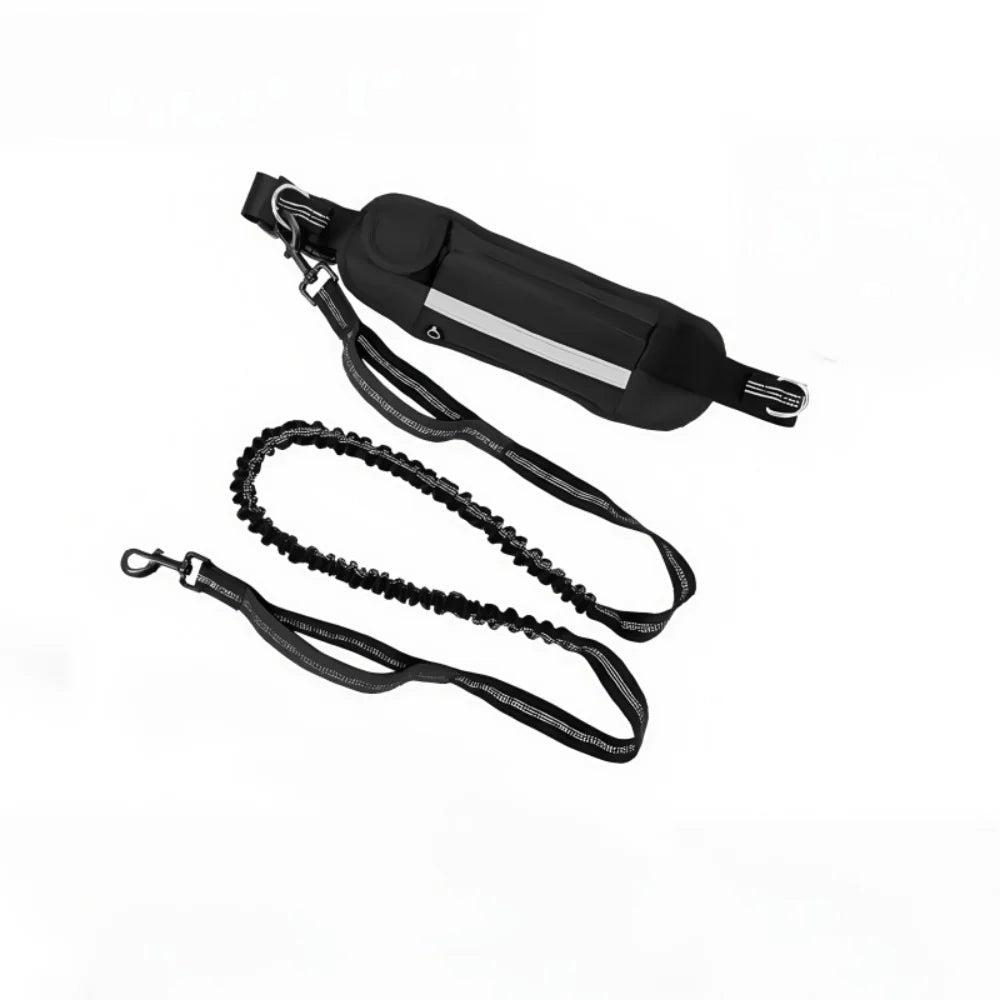 Hands‑Free Bungee Dog Leash — Reflective, Comfortable & Built for Active Lifestyles