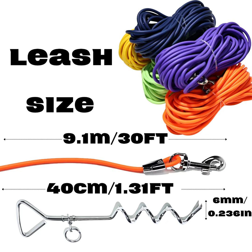 30FT Ground Stake Dog Tie Out