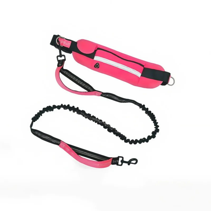 Hands‑Free Bungee Dog Leash — Reflective, Comfortable & Built for Active Lifestyles