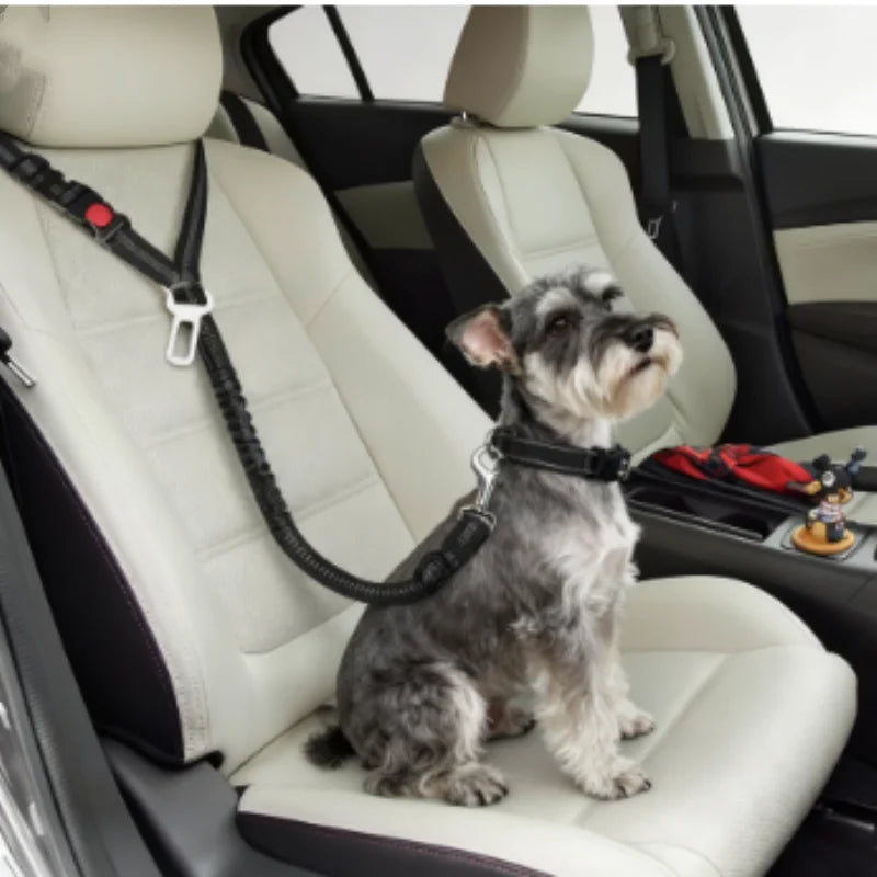 Adjustable Reflective Pet Car Seat Belt – Travel Safety Leash for Dogs & Cats