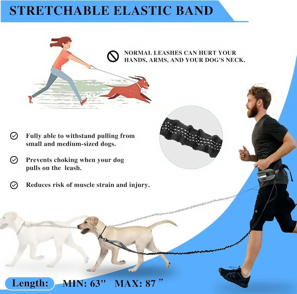 Hands‑Free Bungee Dog Leash — Reflective, Comfortable & Built for Active Lifestyles