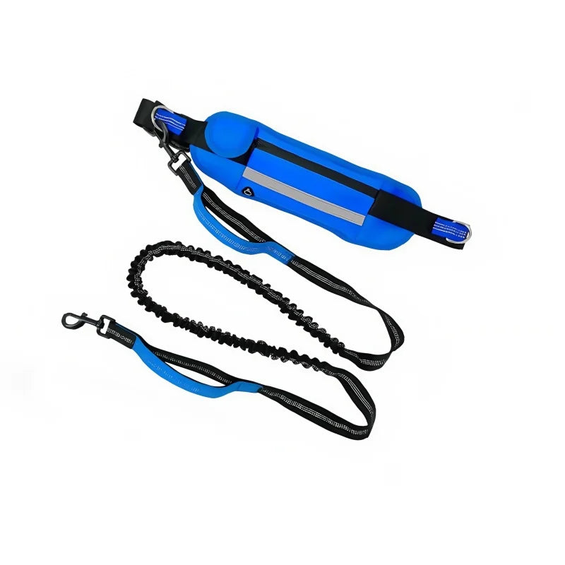 Hands‑Free Bungee Dog Leash — Reflective, Comfortable & Built for Active Lifestyles